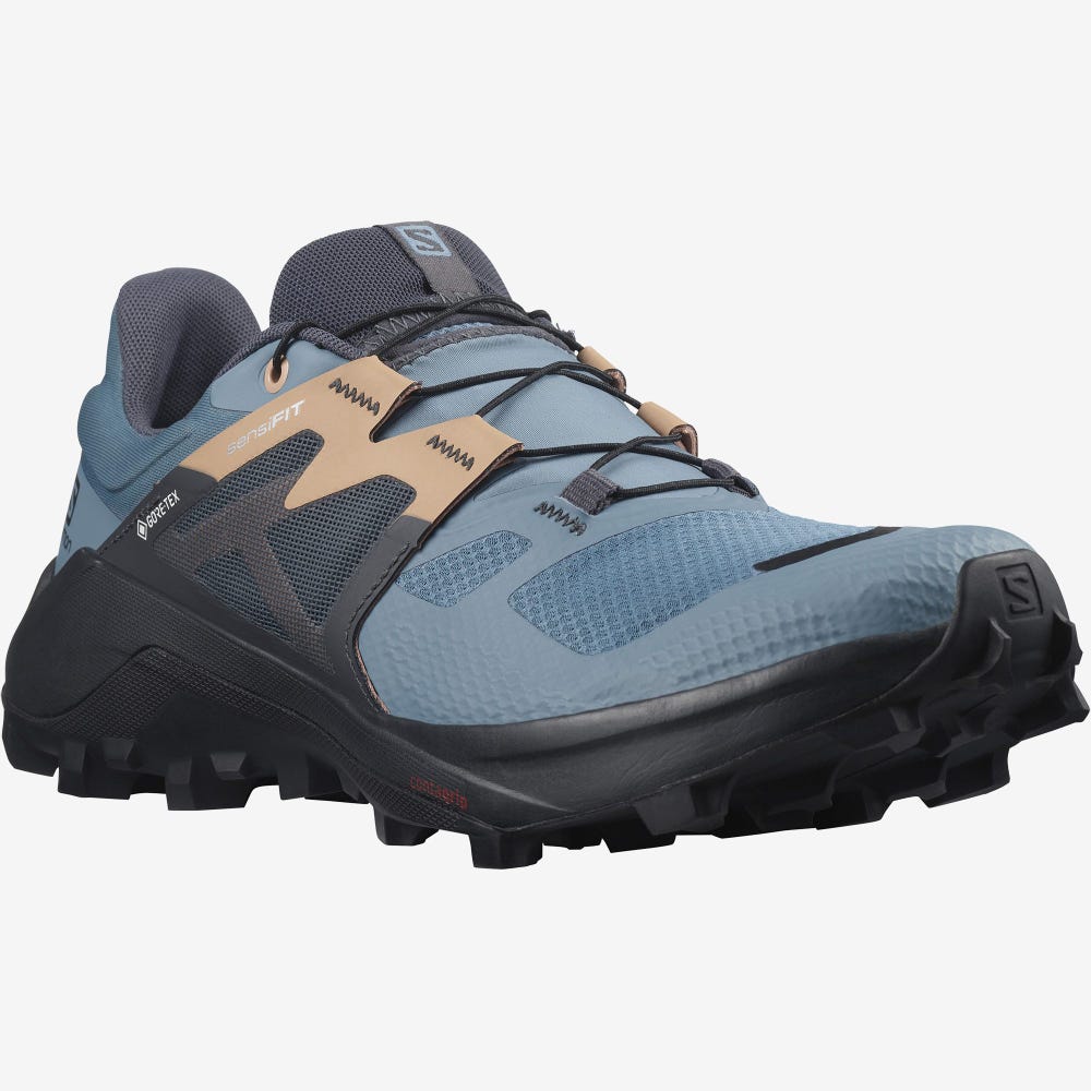 Salomon WILDCROSS 2 GORE-TEX Női Terepfutó Cipő Kék | MTR716028