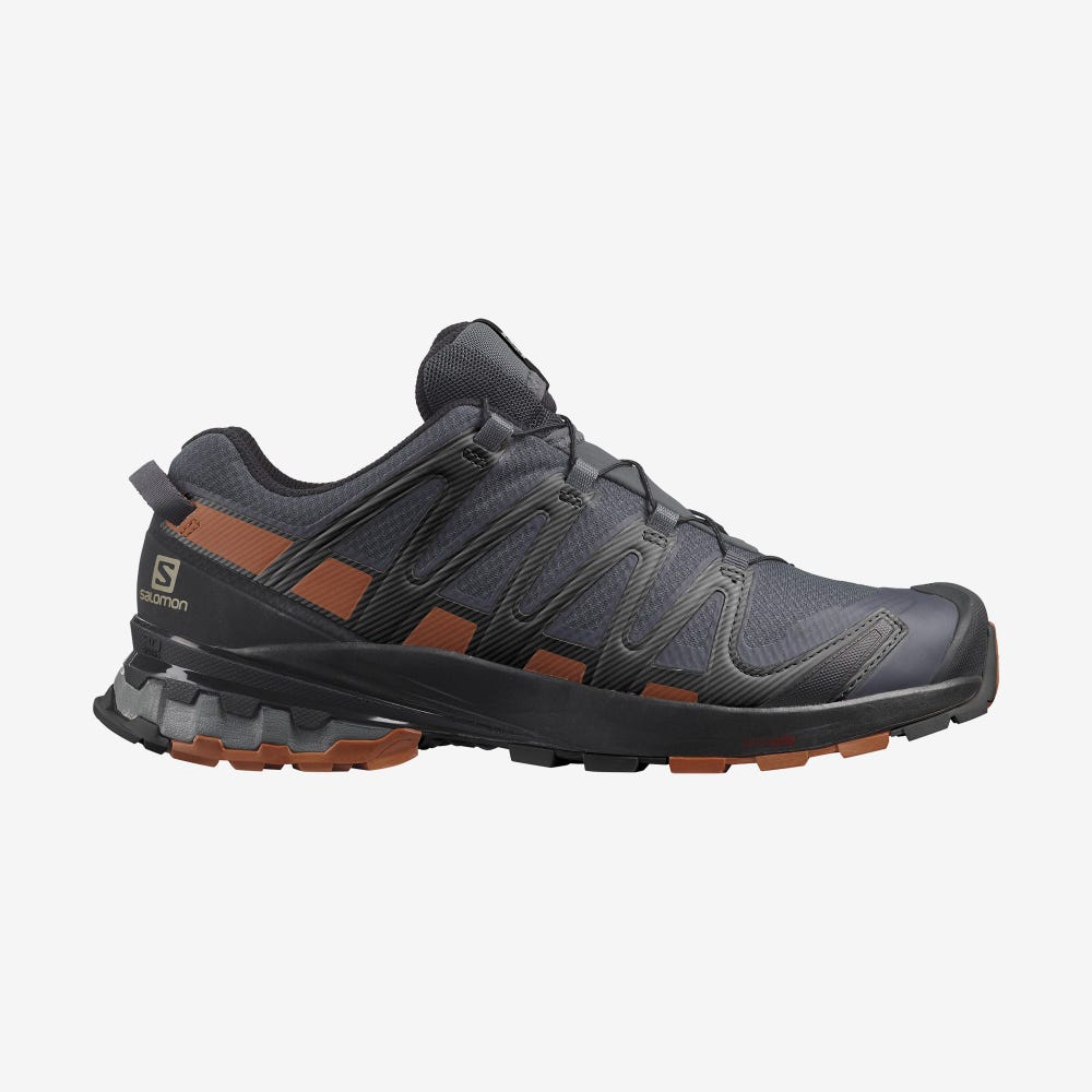 Salomon XA PRO 3D v8 GORE-TEX Férfi Terepfutó Cipő Szürke/Fekete | RKC814950