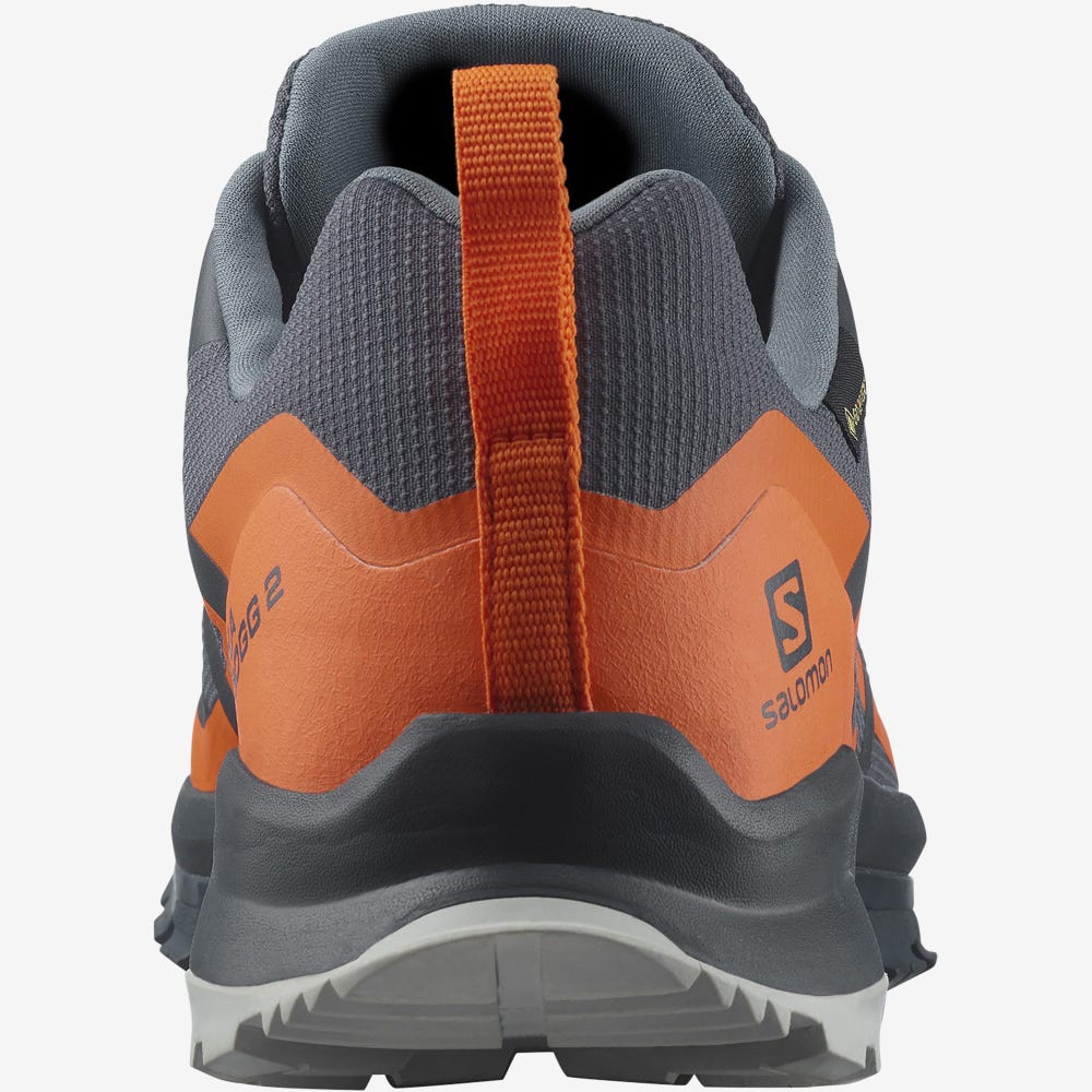 Salomon XA ROGG 2 GORE-TEX Férfi Terepfutó Cipő Szürke/Narancssárga | KNH750168