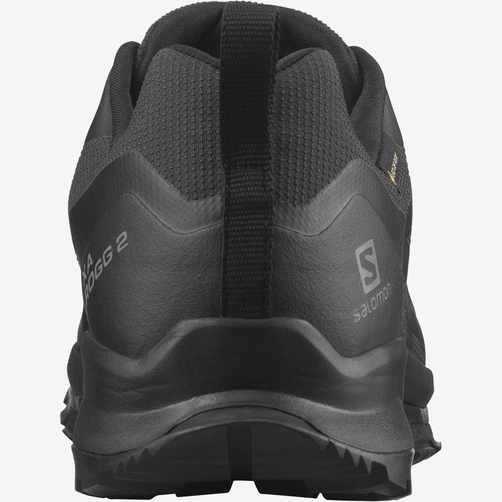 Salomon XA ROGG 2 GORE-TEX Férfi Terepfutó Cipő Fekete | KPN453016