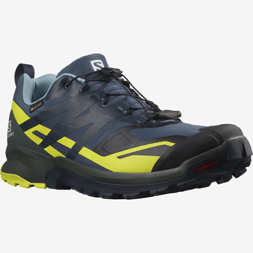 Salomon XA ROGG 2 GORE-TEX Férfi Terepfutó Cipő Sötétkék | OEH320768