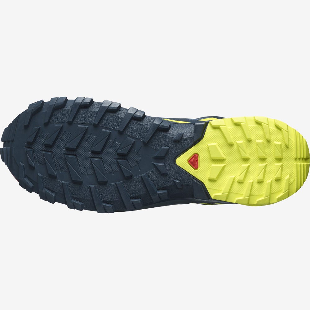 Salomon XA ROGG 2 GORE-TEX Férfi Terepfutó Cipő Sötétkék | OEH320768