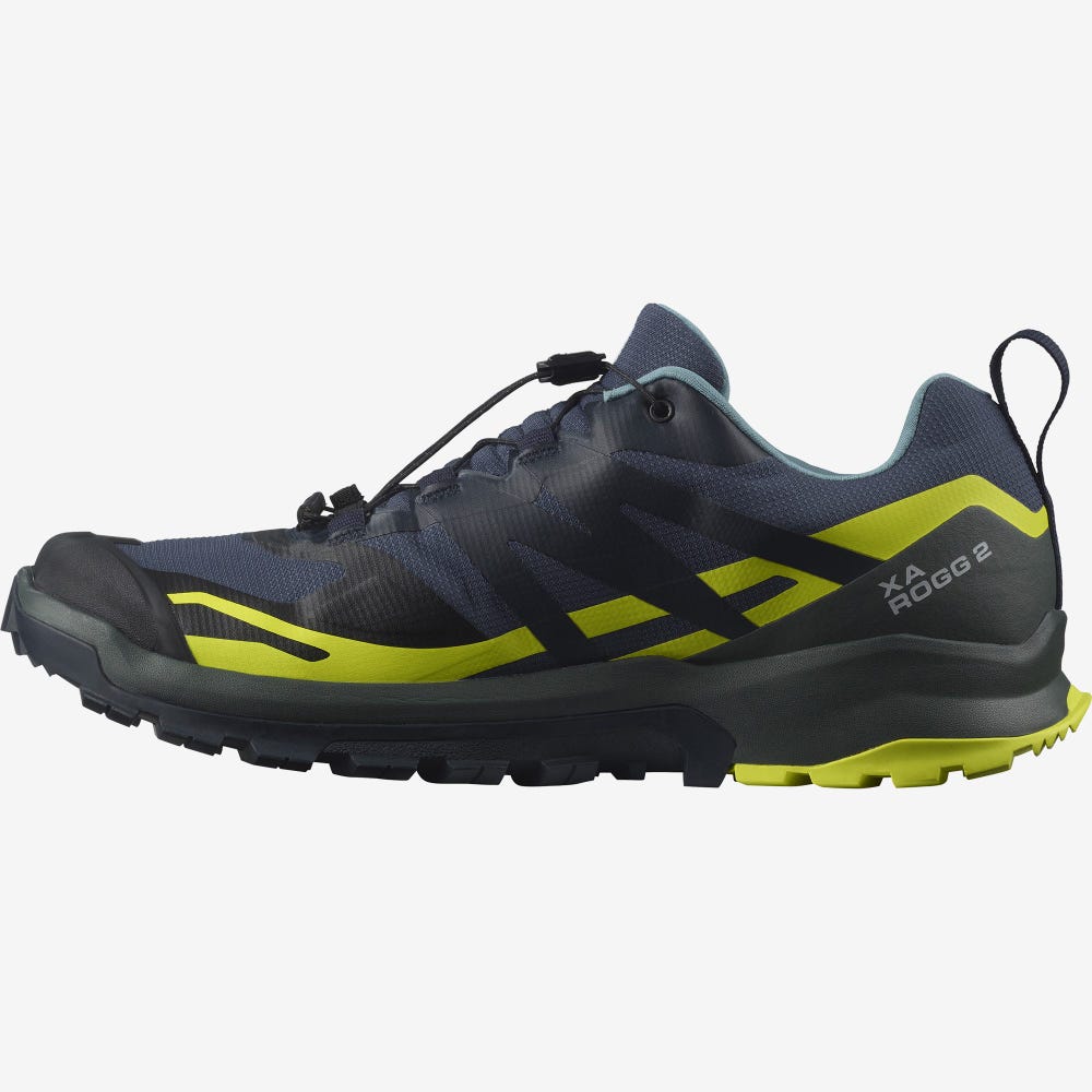 Salomon XA ROGG 2 GORE-TEX Férfi Terepfutó Cipő Sötétkék | OEH320768