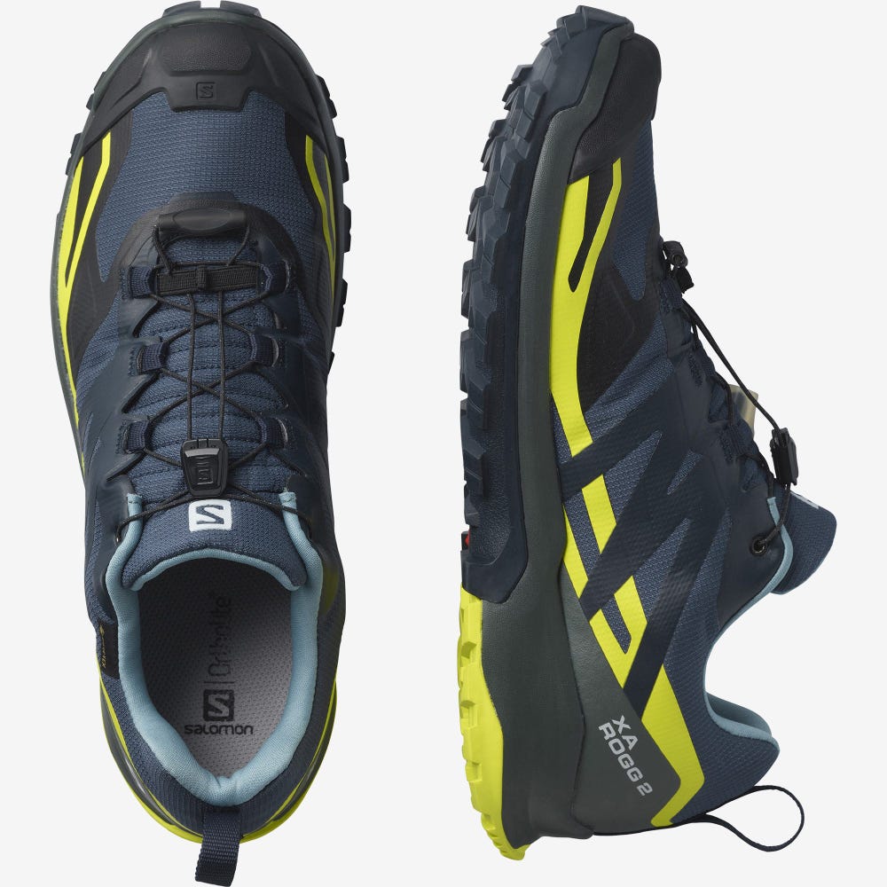 Salomon XA ROGG 2 GORE-TEX Férfi Terepfutó Cipő Sötétkék | OEH320768