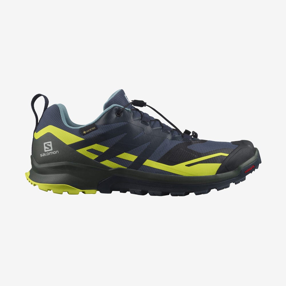 Salomon XA ROGG 2 GORE-TEX Férfi Terepfutó Cipő Sötétkék | OEH320768