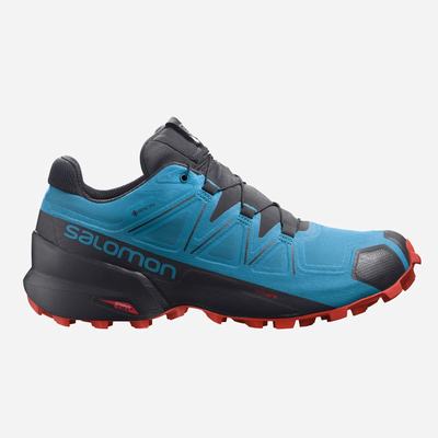 Salomon SPEEDCROSS 5 GORE-TEX Férfi Terepfutó Cipő Kék/Fekete | NZH807392