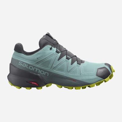 Salomon SPEEDCROSS 5 GORE-TEX Női Terepfutó Cipő Türkiz | GKV806417