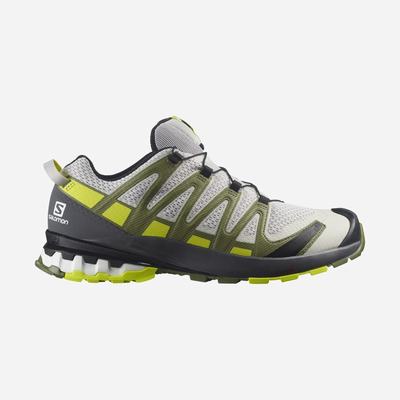 Salomon XA PRO 3D v8 Férfi Terepfutó Cipő Szürke/Zöld | CUZ914253