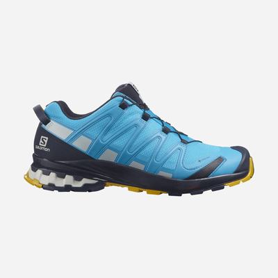 Salomon XA PRO 3D v8 GORE-TEX Férfi Túracipő Kék | XKH025134