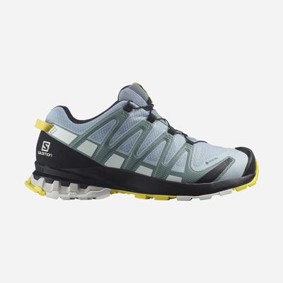 Salomon XA PRO 3D v8 GORE-TEX Női Terepfutó Cipő Kék/Fehér | ULH758403